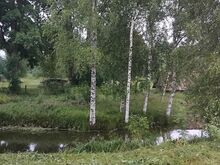 Rauli talu