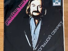 Виниловая пластинка