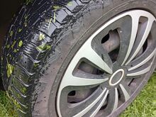 Autod