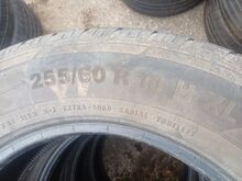Suverehvid 18" continental
