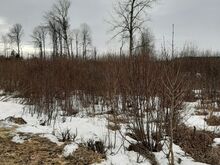 Jaagu kinnistu Läänemaal
