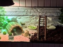 2 terraariumi soodushinnaga