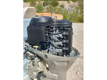Mootorpaat Glastron/ Honda 50hp/ Haagis/ Lisad