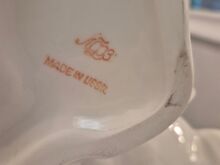 Jääkaru kuju lomonossovilt