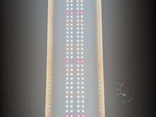 LED-lamp taimede kasvatamiseks
