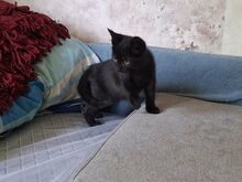KASSIPOJAD OOTAVAD ARMASTAVAT KODU