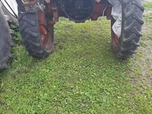 T16