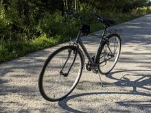 Uueväärne Linnaratas Bottari 28" - raam 50cm
