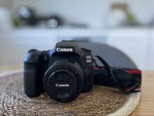 Canon EOS 90D + Canon EF 50mm f/1.8 STM