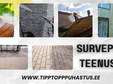 Survepesu teenused