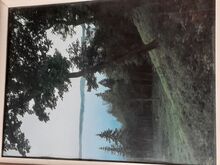1 картина и 1 фотография в рамке