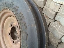 T25/T16 rattad