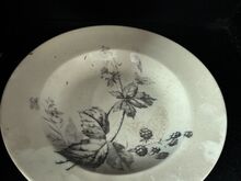 Villeroy & Boch Dresden – vana serveerimisnõude ko