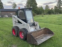 Bobcat