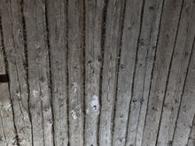 Seinapalgid