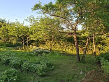 Продаётся уютная дача с баней, в городе Йыхви.
