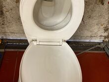 WC pott