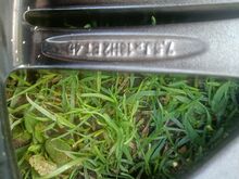Toyota 18" veljed rehvidega