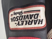 Harley Davidson meeste nahktagi.