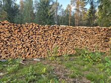 Küttepuud