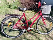 DBS Street track linna-cruiser mixte