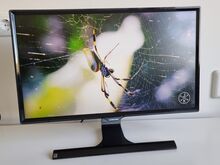 Samsung 24" LED 1920x1080 Monitor