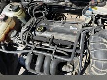 Ford Focus 1.6 Бензин