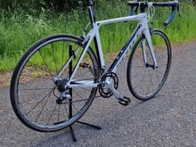 Scott Foil 40 Täis süsinikraamiga L/700c