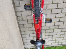 Jalgratas PANTHER MTB