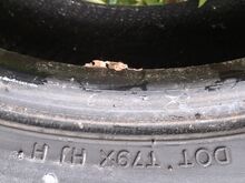 205/60R16 Hankook Winter i*Cept IZ2