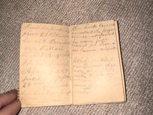 Haruldane taskumärkmik 1900-1916