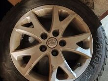 205/55 R16 Sava talverehvid + toyota veljed
