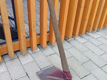 Vana suur kõbla (Soome)