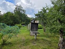 Looduslähedane kodukoht Kärstna külas.