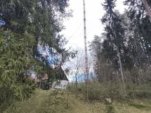 Старая мачта