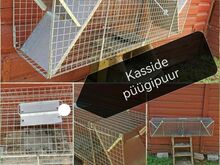 Kassi püügipuur