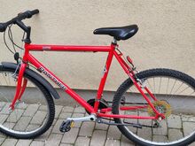 Jalgratas PANTHER MTB