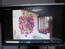 Monitor HP LA2405WQ30