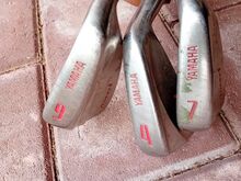 Golfikepid