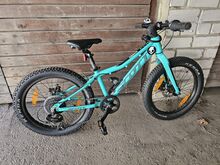Scott Roxter 20