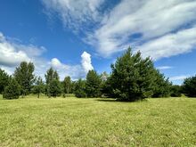 Eksklusiivne krunt Peipsi järve kaldal!