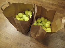 50 использованных в зале теннисных мячей