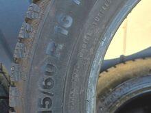 Talverehvid Continental