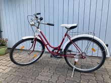 Ratas 26"