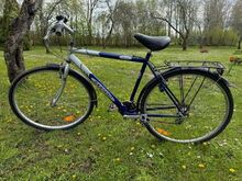 Jalgratas 42"