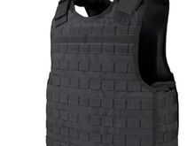 Plaadikandja condor