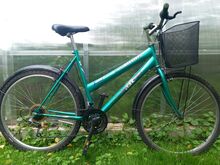 Naiste jalgratas 26" Trek Size L