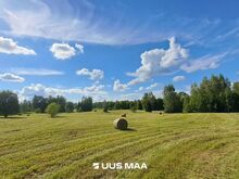 Looduskaunis reljeefne kinnistu