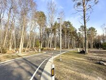 Kõrghaljastusega kinnistud mere läheduses