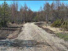 Ilusa männisaluga Kadakane rannamaa